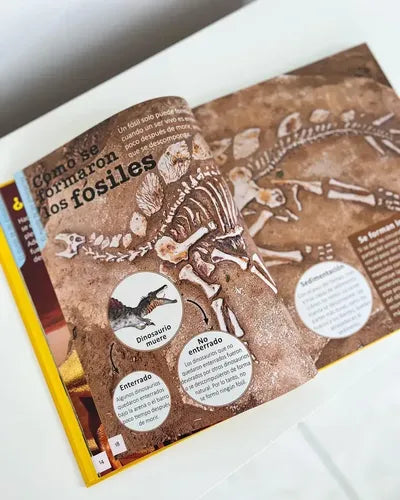 Enciclopedia Infantil De Los Dinosaurios (tapa Dura) / Lexus