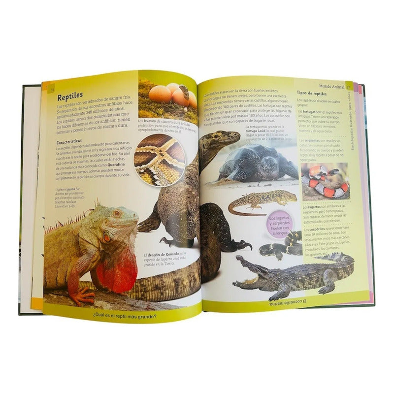 Enciclopedia Ilustrada Mundo Animal (tapa Dura)