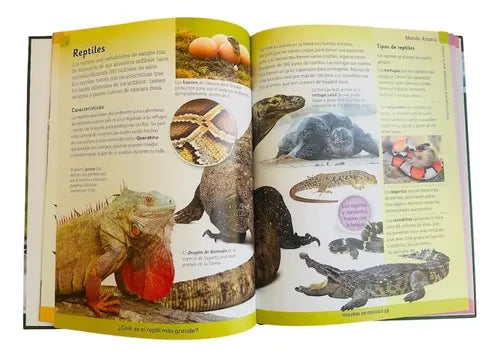 Enciclopedia Ilustrada Mundo Animal (tapa Dura)