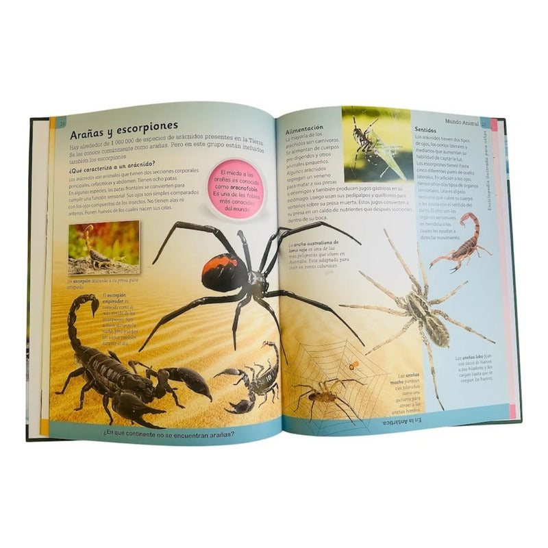 Enciclopedia Ilustrada Mundo Animal (tapa Dura)