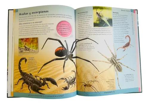 Enciclopedia Ilustrada Mundo Animal (tapa Dura)