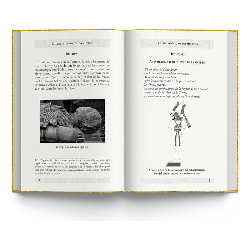 El Libro Egipcio De Los Muertos (tapa Dura) / Anónimo