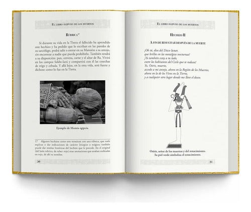 El Libro Egipcio De Los Muertos (tapa Dura) / Anónimo