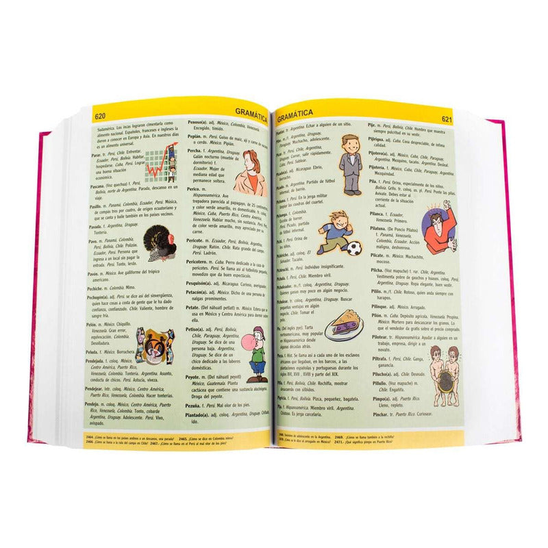 Consultor Gramática / Lexus