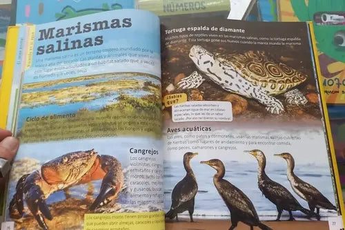 Animales Enciclopedia Infantil (tapa Dura) / Lexus