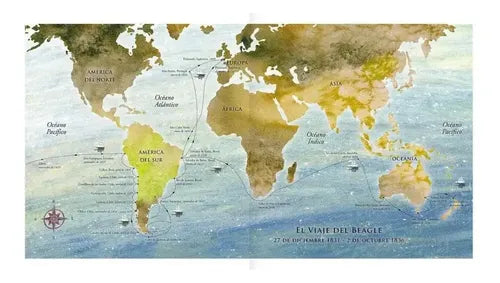 Darwin, Un Viaje Al Fin Del Mundo (t.dura) / Ana María Pavez