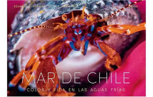 Mar De Chile (t.dura) / Eduardo Sorensen, Hector Jaramillo