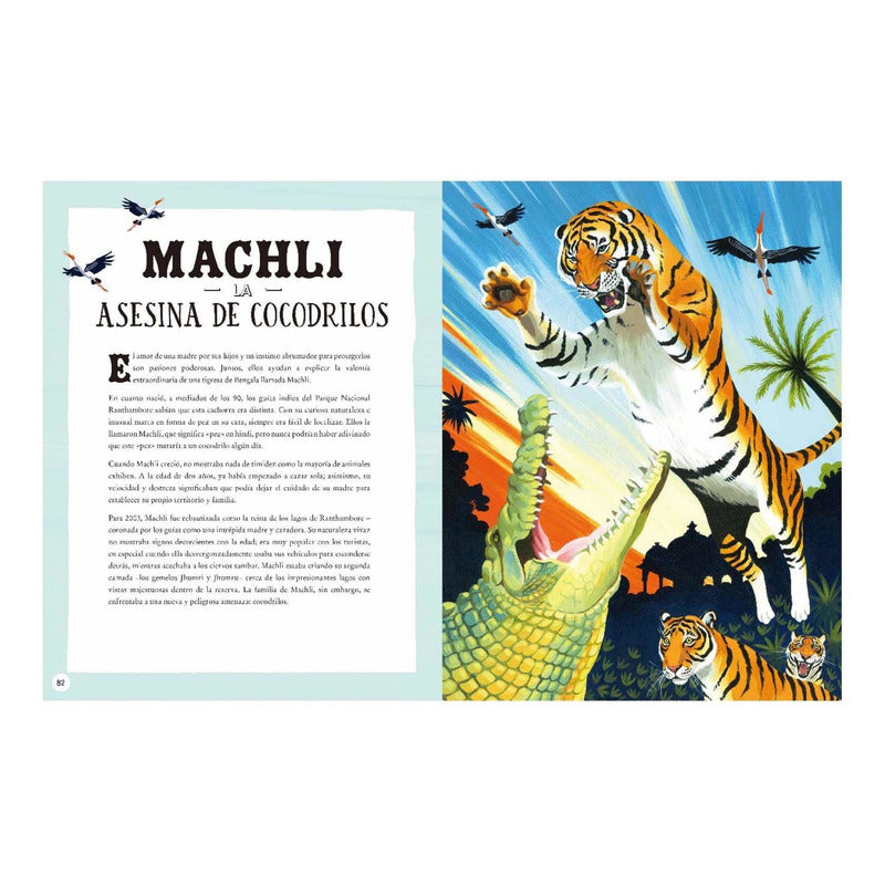 El Libro De Los Animales Súper Héroes / Lexus