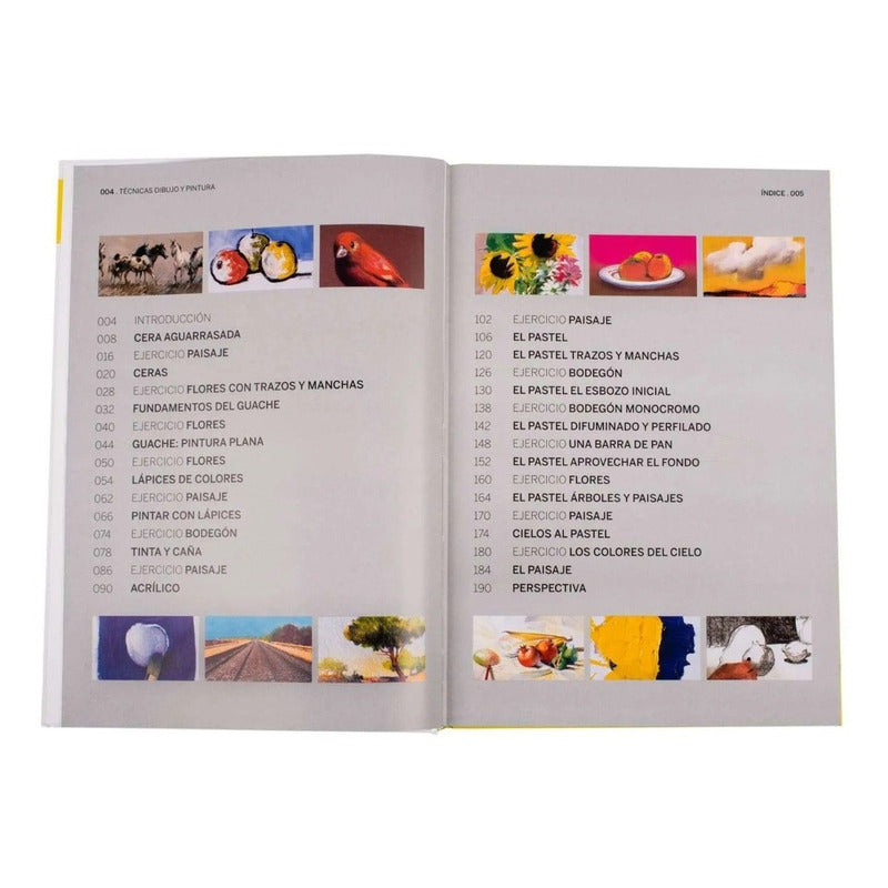 Técnicas Dibujo Y Pintura (tapa Dura) / Lexus