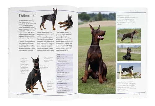 Enciclopedia De Las Razas De Perros (tapa Dura) / C.m. Comps