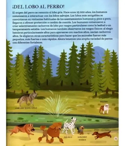 El Origen De Las Especies (tapa Dura Ilustrado) / Darwin