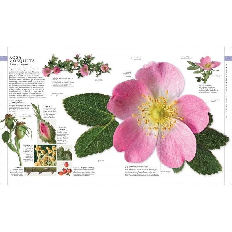 Dk El Libro De La Naturaleza Guia Visual (tapa Dura)