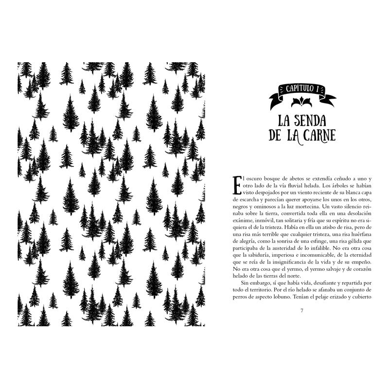 Colmillo Blanco (tapa Dura) / Jack London