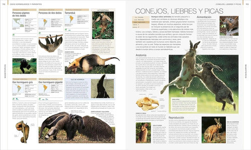 Dk Animal La Guia Visual Definitiva (tapa Dura)