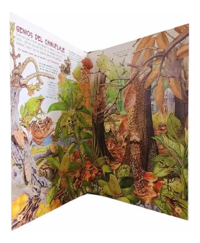Busca Los Animales Y Sus Records (td) / Susaeta