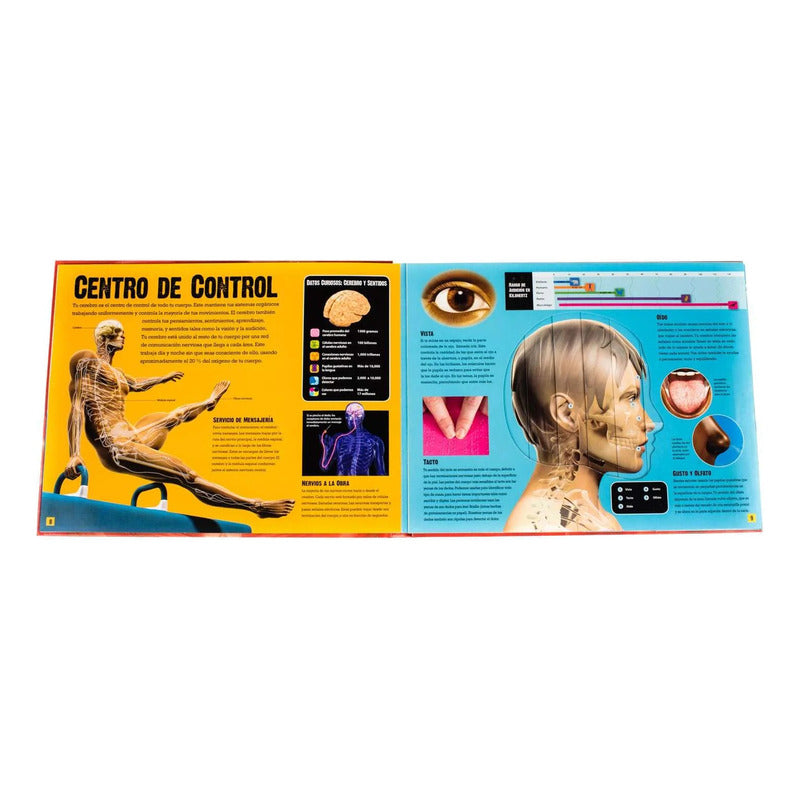 El Cuerpo Humano / Lexus