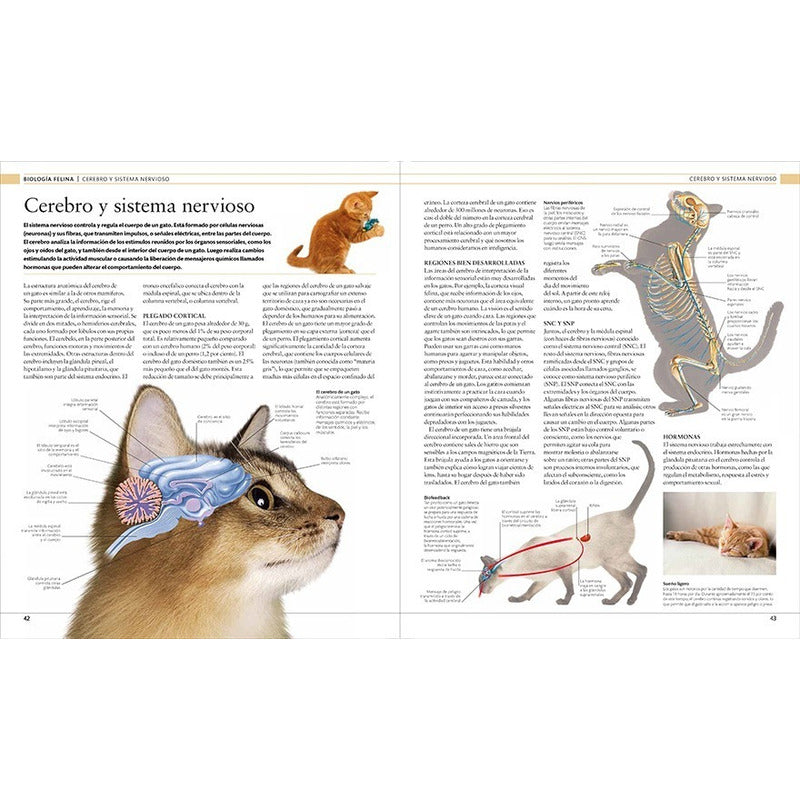 Dk Gato La Enciclopedia Guía Visual Definitiva (tapa Dura)