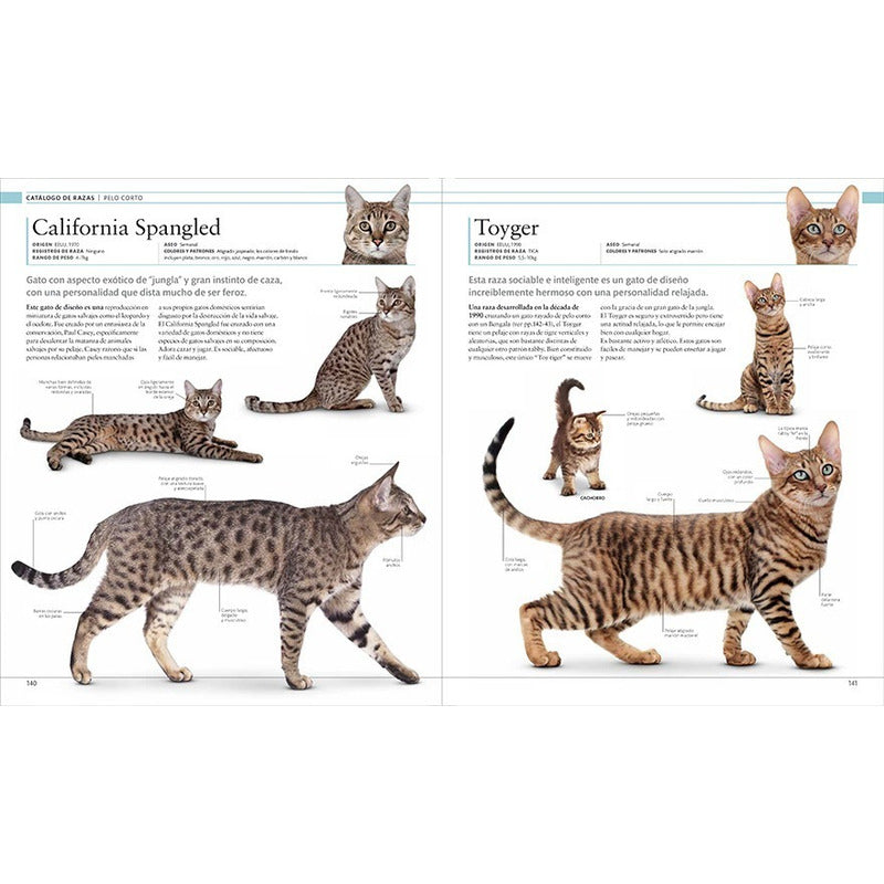 Dk Gato La Enciclopedia Guía Visual Definitiva (tapa Dura)