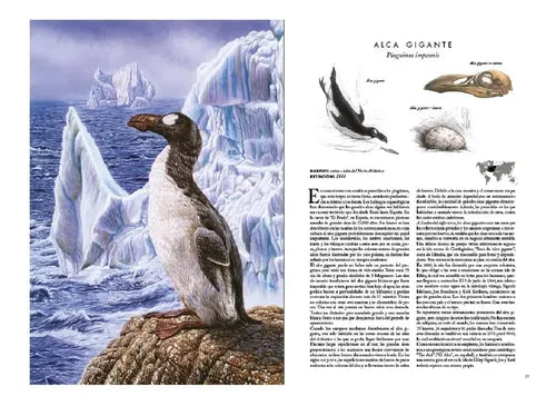 Atlas De Animales Extintos (tapa Dura) / Lexus