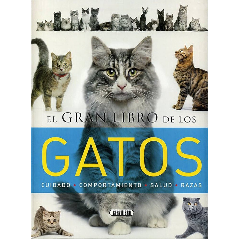 El Gran Libro De Los Gatos (tapa Dura) / Isabel Ortiz
