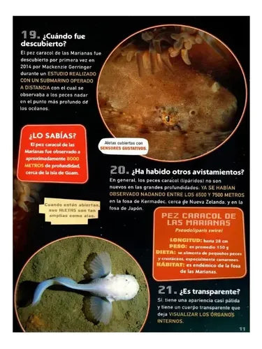 Criaturas De Las Profundidades (tapa Dura) / Lexus