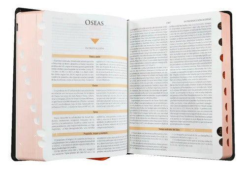Biblia De Estudio Teológico Reina Valera 1960