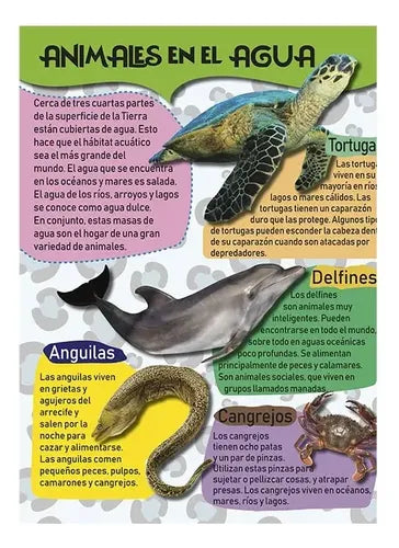 Mi Gran Libro De Animales (tapa Dura) / Lexus