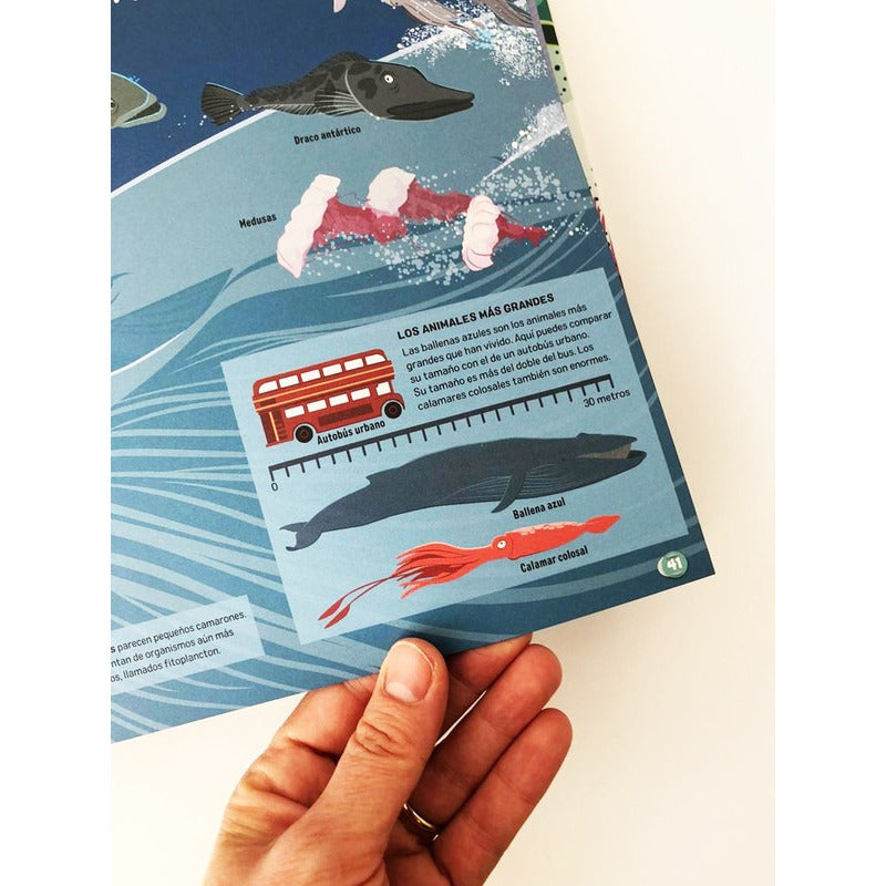 Mares Y Oceanos Un Atlas Animado (incluye App) / Contrapunto