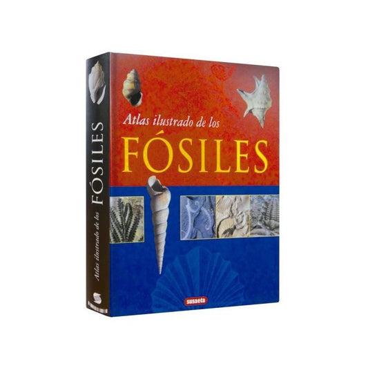Atlas Ilustrado De Los Fósiles / Lexus