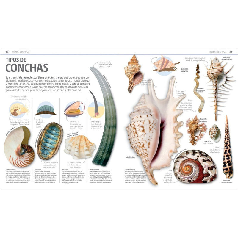 Dk Enciclopedia Secretos De La Naturaleza (tapa Dura)
