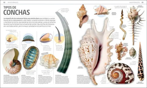 Dk Enciclopedia Secretos De La Naturaleza (tapa Dura)