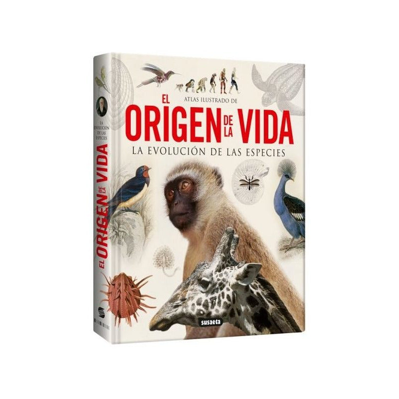 Atlas Ilustrado De El Origen De La Vida (tapa Dura) / Lexus