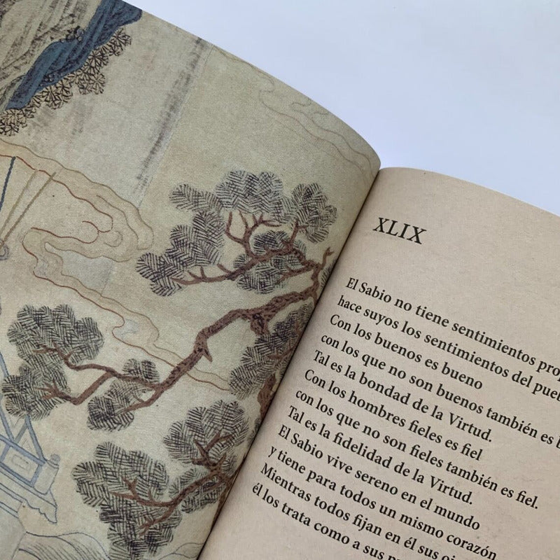 Tao Te King Libro Del Tao Y De Su Virtud / Gastón Soublette