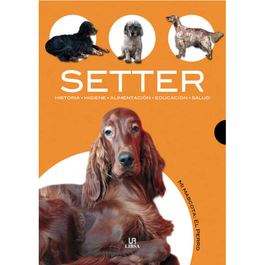 Setter / Javier Villahizan