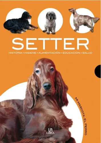 Setter / Javier Villahizan
