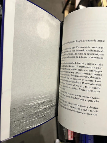 Juan Salvador Gaviota / Richard Bach
