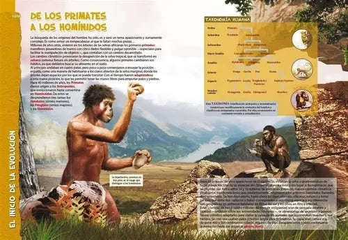 El Sorprendente Mundo Prehistorico (t. Dura Grande) / Lexus