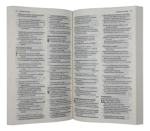 Santa Biblia Reina Valera Contemporanea Misionera Economica