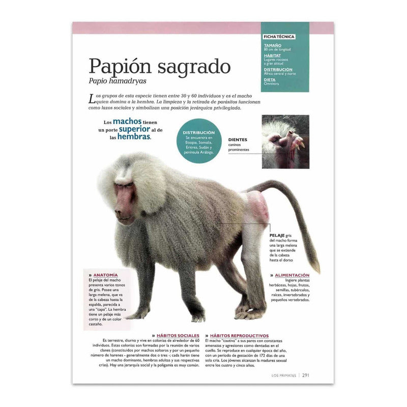 Mundo Animal Mamíferos Sorprendentes + Cd Y Laminas 3d