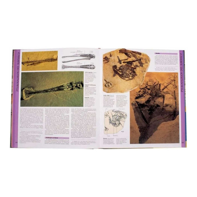 Atlas Ilustrado De Los Dinosaurios Voladores Pterosaurios