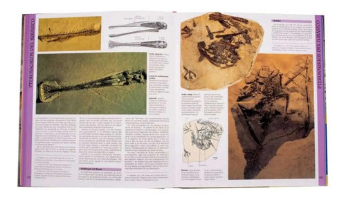 Atlas Ilustrado De Los Dinosaurios Voladores Pterosaurios