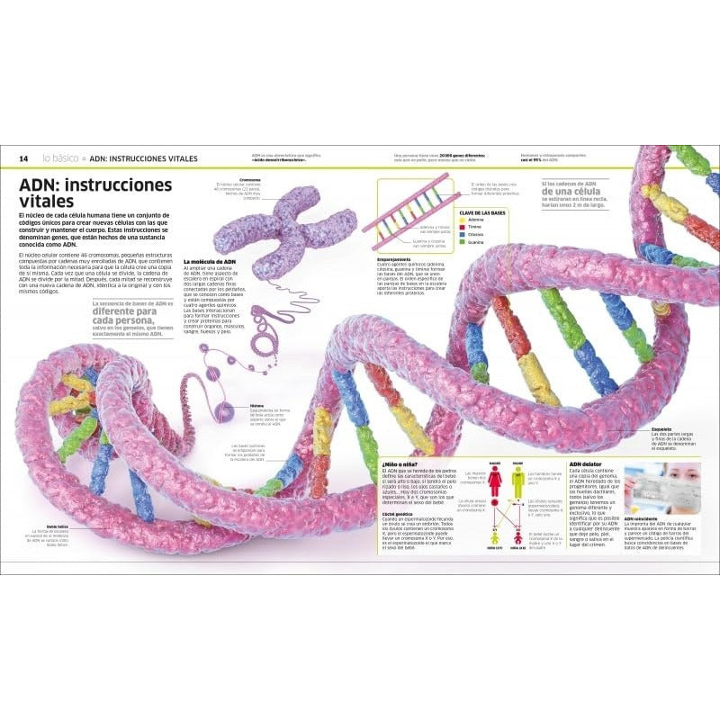 Dk Cuerpo Humano (tapa Dura)