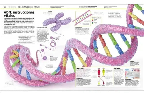 Dk Cuerpo Humano (tapa Dura)