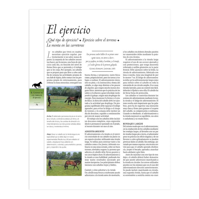 Enciclopedia Definitiva Del Caballo (tapa Dura) / Lexus