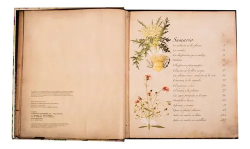 Atlas Ilustrado De Plantas Medicinales (tapa Dura) / Lexus