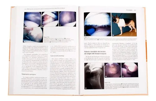 Manual De Alteraciones Musculoesquéleticas / Lexus