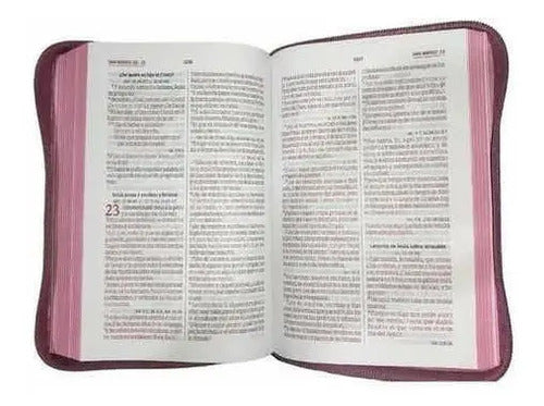 Santa Biblia Rvr 1960 Estuche Fucsia Canto Rosado Qr / Sbu