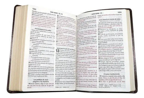 Santa Biblia Reina Valera 1960 Letra Gigante / Sbu
