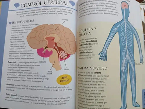 Biologia Para Niños Curiosos (tapa Dura) / Lexus