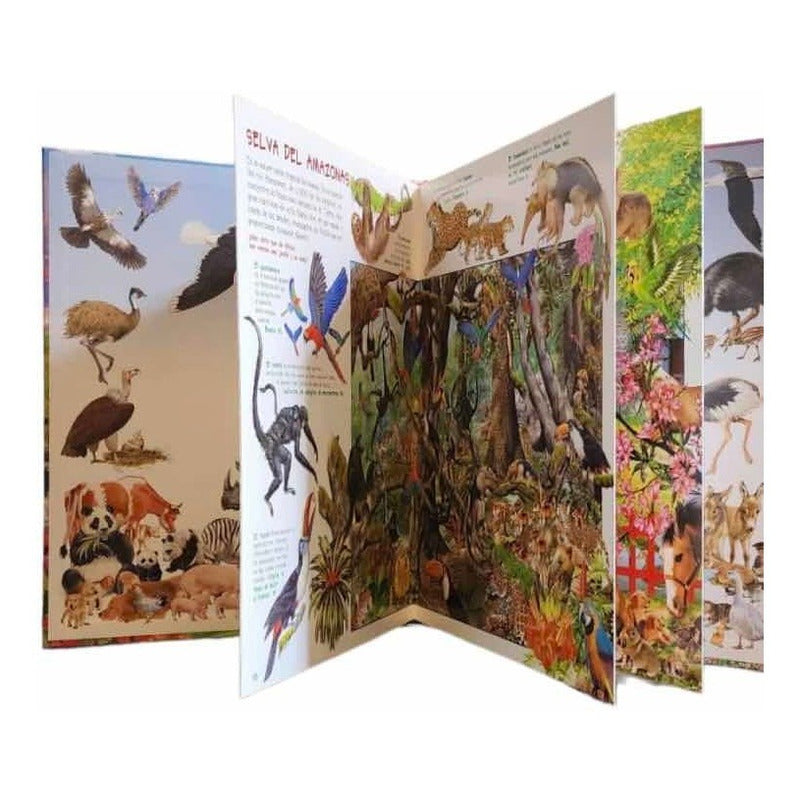 Busca Los Animales Y Sus Crias (td) / Susaeta